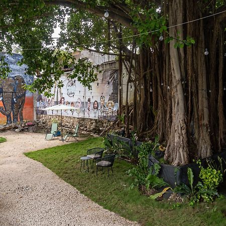 La Quinta Caribena Appartement Playa del Carmen Buitenkant foto