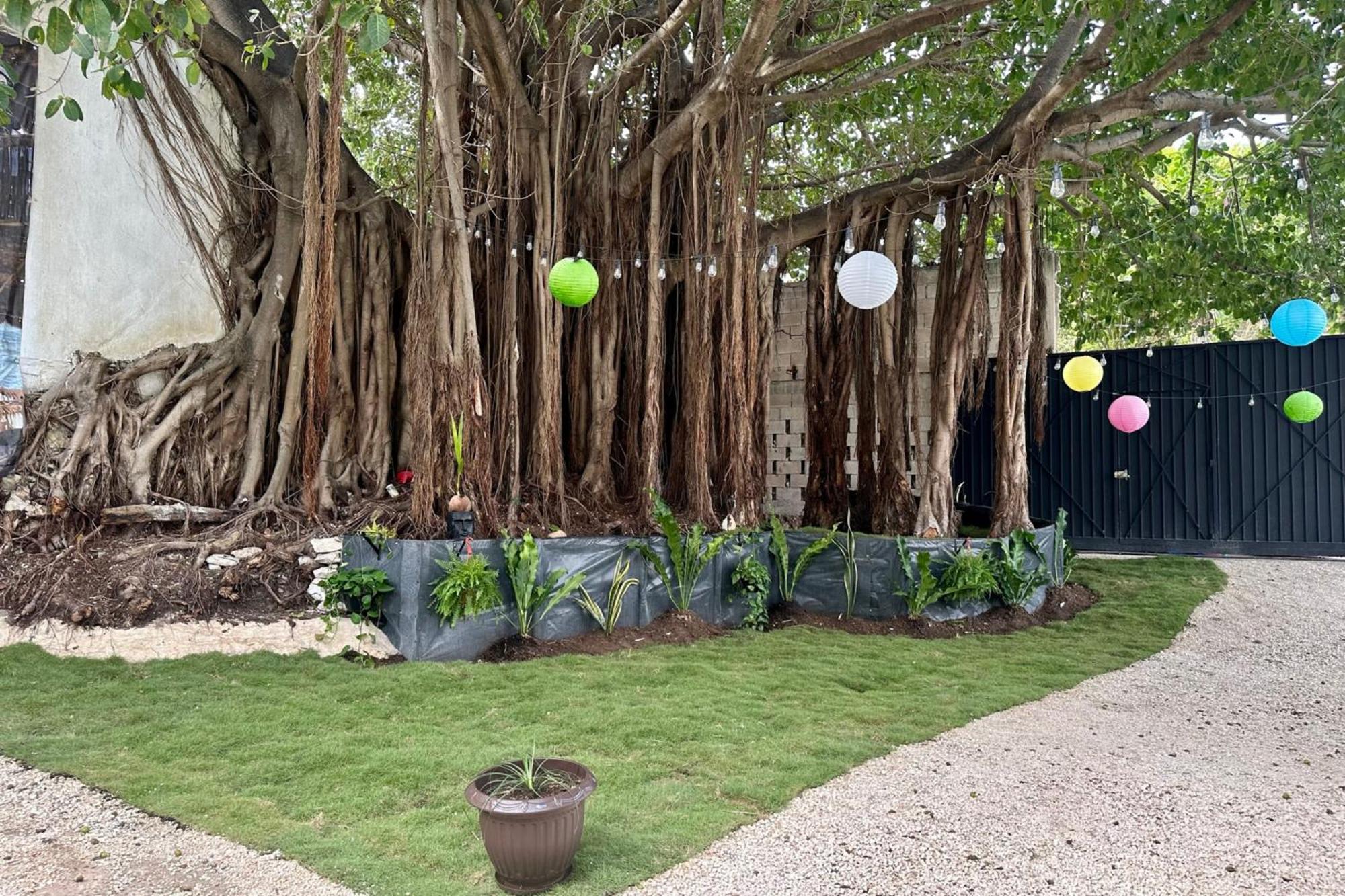 La Quinta Caribena Appartement Playa del Carmen Buitenkant foto